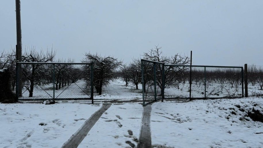 1400 sot torpaq satılır, Quba-15