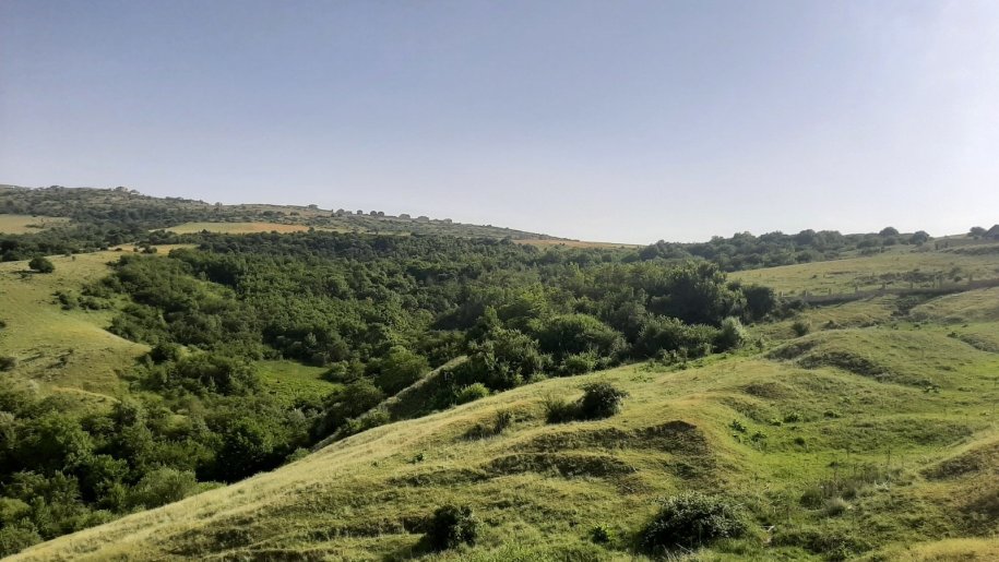 1100 sot torpaq satılır, Şamaxı-3