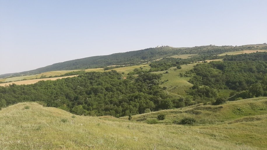 1100 sot torpaq satılır, Şamaxı-5