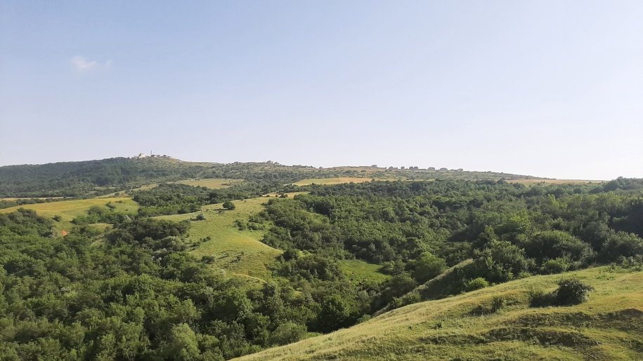 1100 sot torpaq satılır, Şamaxı-8