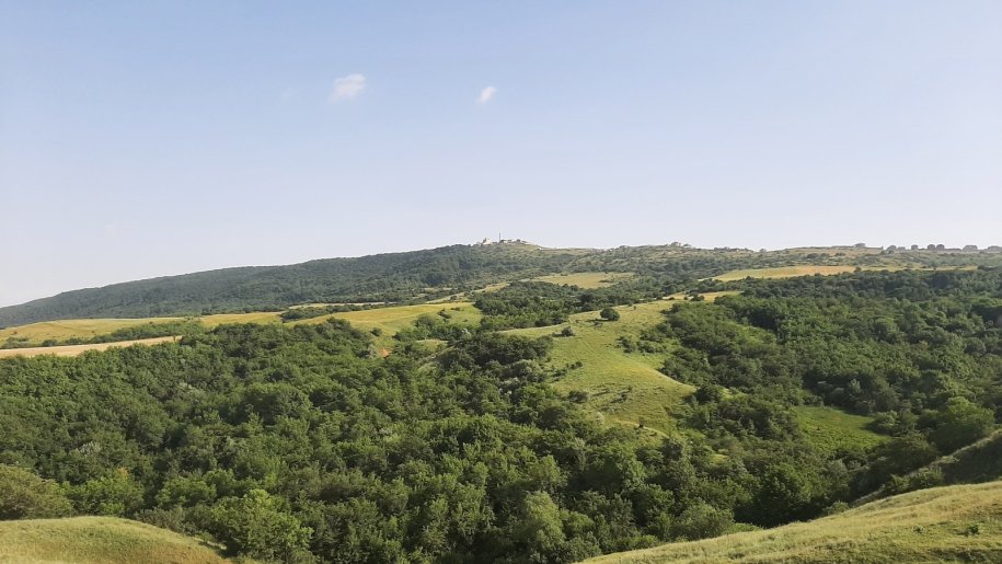 1100 sot torpaq satılır, Şamaxı-15