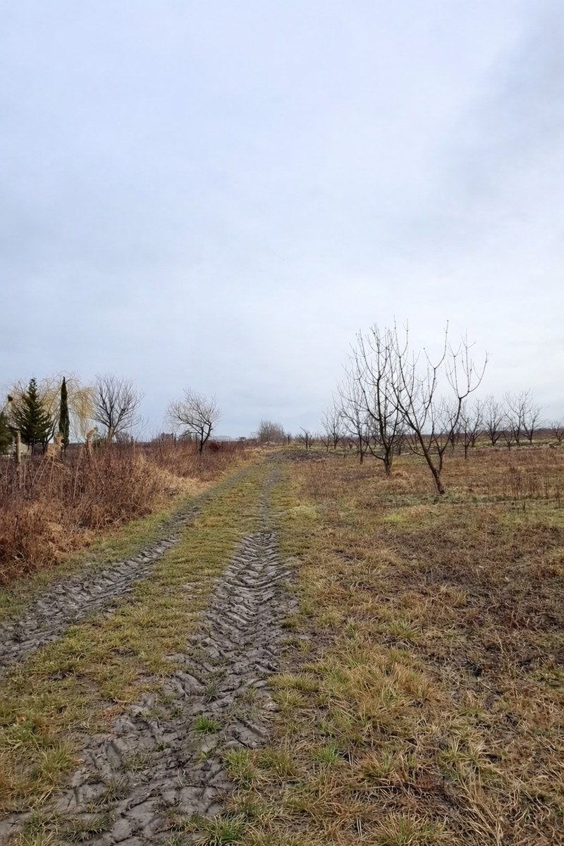 125 sot torpaq satılır, Quba-3