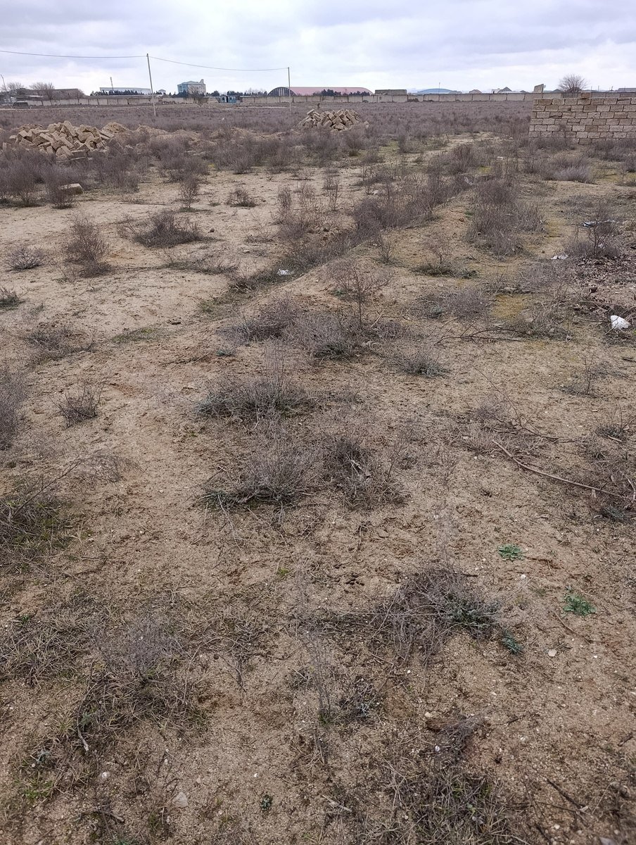 100 sot torpaq satılır, Qala-5