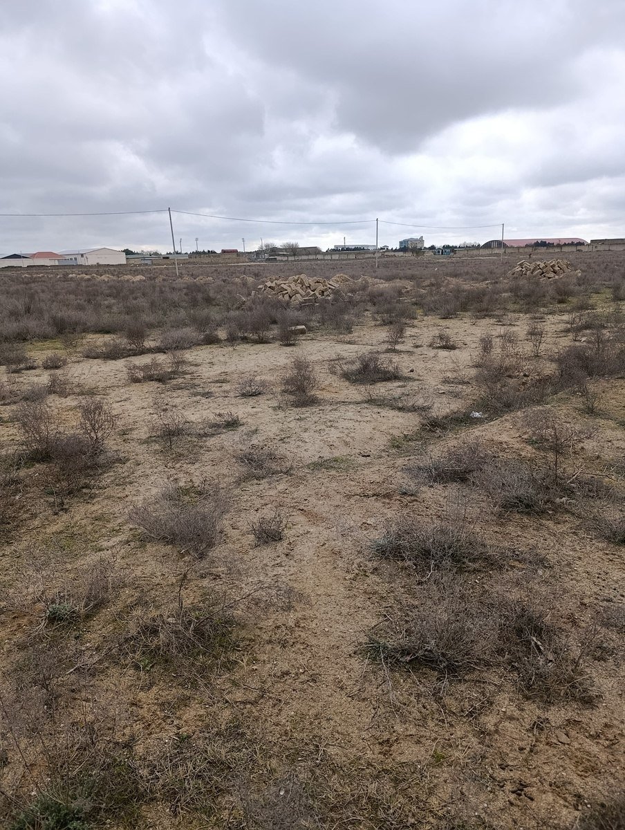 100 sot torpaq satılır, Qala-6