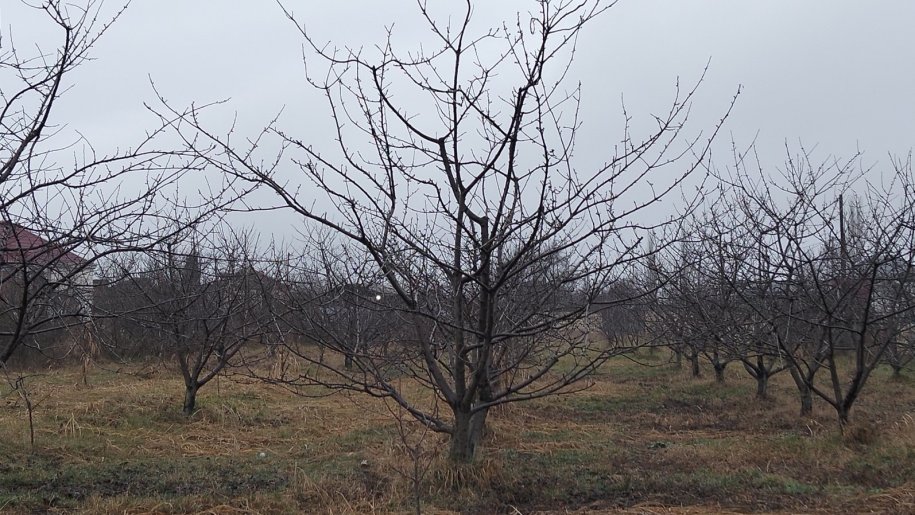 45 sot torpaq satılır, Şabran-2