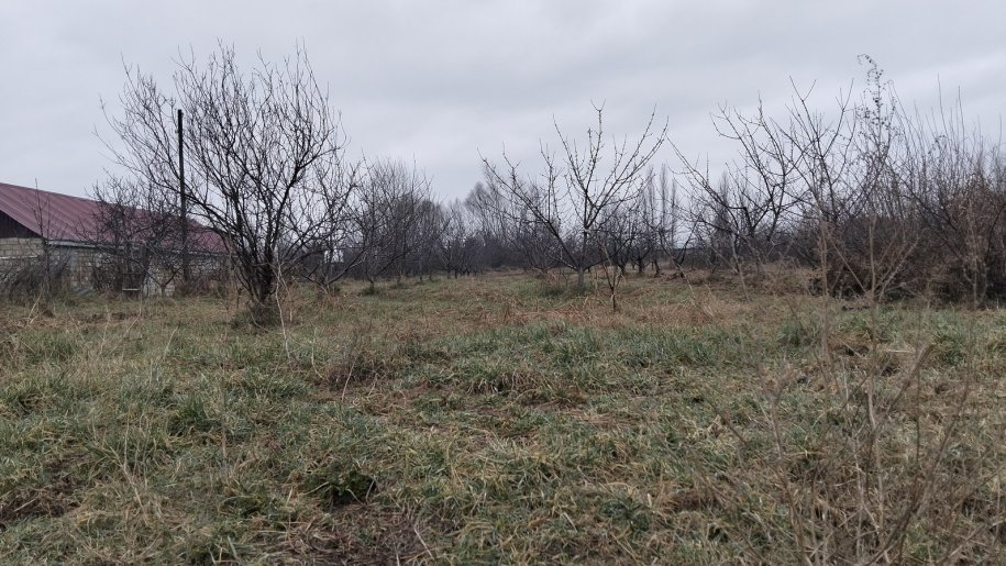 45 sot torpaq satılır, Şabran-12