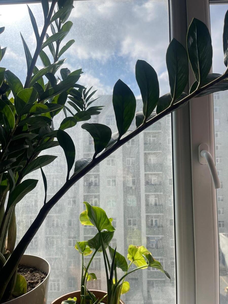 Satılır 3 otaqlı yeni tikili, 73 m², Hövsan-21