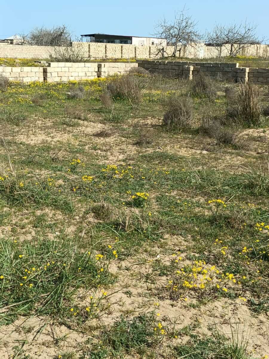 5 sot torpaq satılır, Nardaran-1