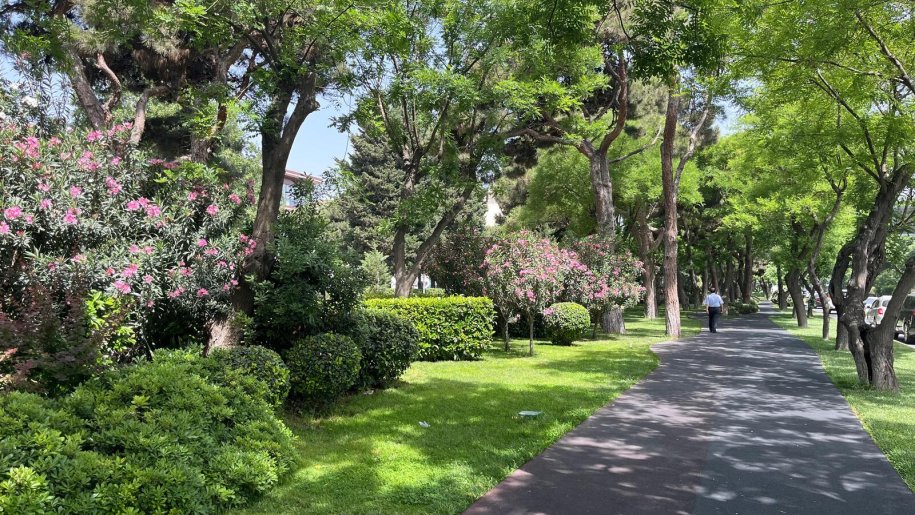 Satılır 3 otaqlı köhnə tikili, 80 m², Gənclik m.-22