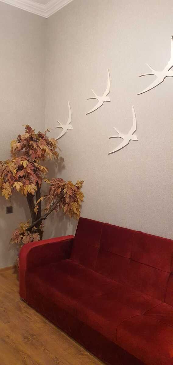 Kirayə verilir 2 otaqlı yeni tikili, 50 m², Sahil m.-4