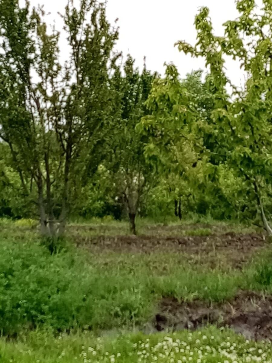 35 sot torpaq satılır, Xaçmaz-6