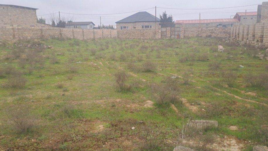 12 sot torpaq satılır, Qala-1