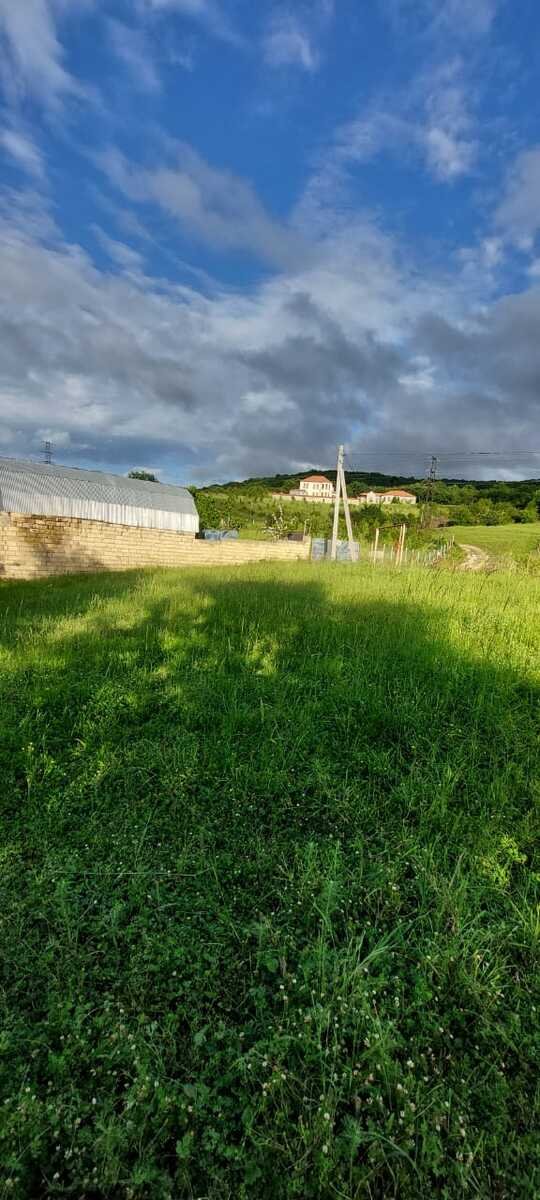 8 sot torpaq satılır, Şabran-1