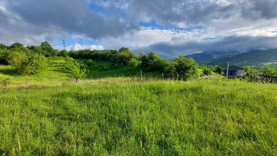 8 sot torpaq satılır, Şabran-2