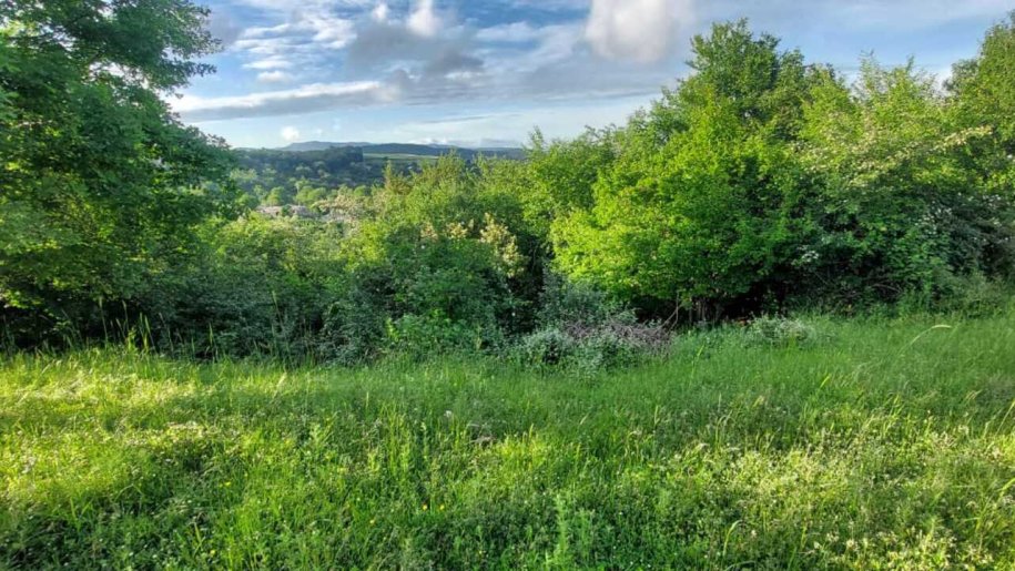 8 sot torpaq satılır, Şabran-5