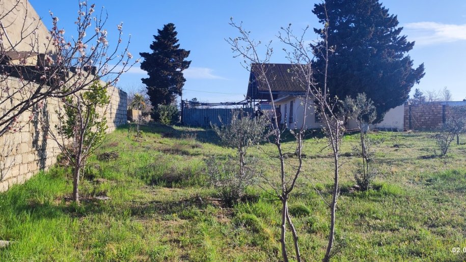 45 sot torpaq satılır, Qala-3