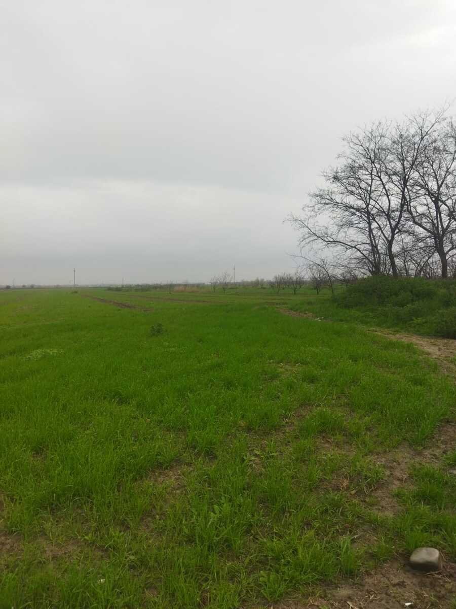 400 sot torpaq satılır, Şabran-2