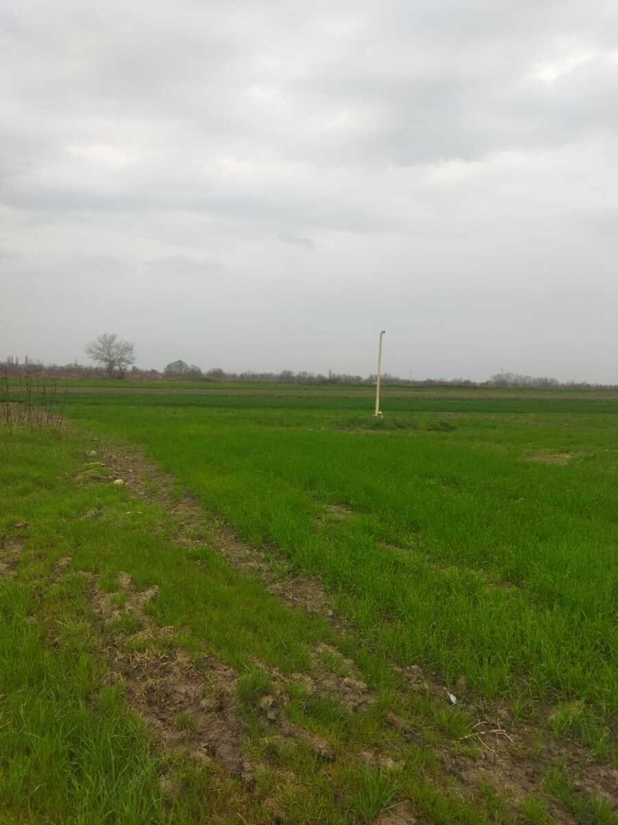 400 sot torpaq satılır, Şabran-3