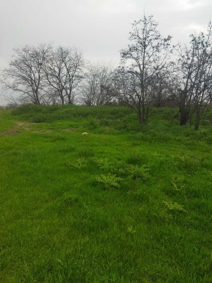 400 sot torpaq satılır, Şabran-5